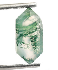 Natural Moss Agate Hexagon Shape 12X6mm Loose Gemstone Birthday Gift 2.30 Ct.