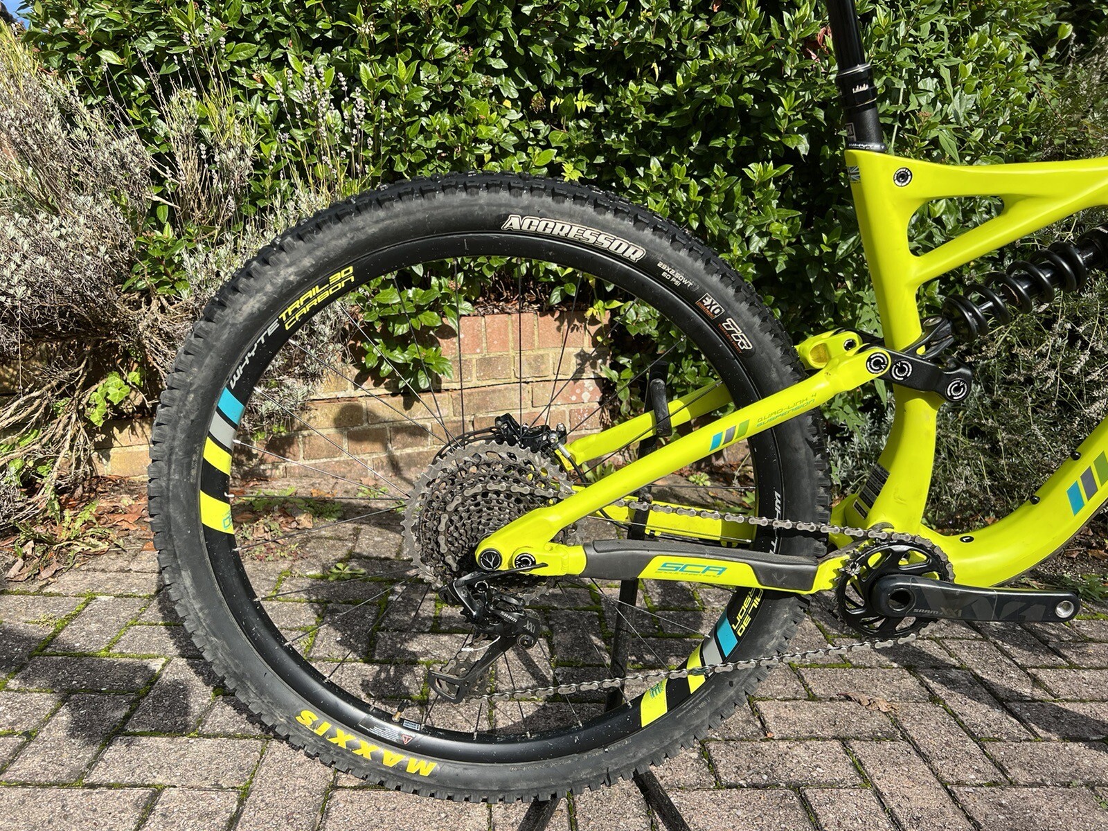 2019 trek remedy 9.9