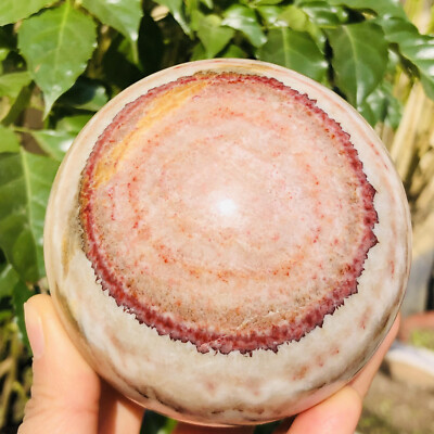 2.36LB Natural Red Stripe Pork Stone Quartz Crystal Sphere Ball Reiki Healing