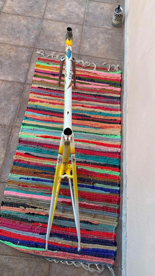 Cuadro de bicicleta/ciclismo Foto 4 de 4