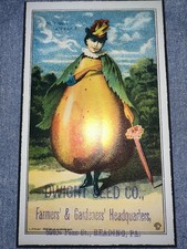 The Garden/Nature Corner: Antique Veggie/Flow...