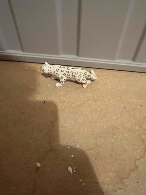 Schleich Snow Leopard Pre Owned See Pics And Read Please!