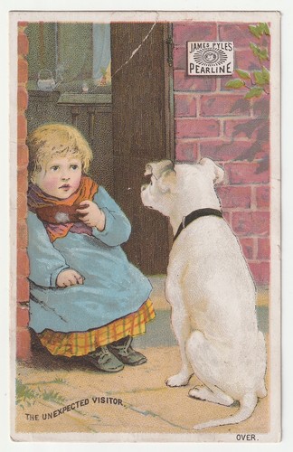 c1880s New York NYC~Pearline Soap Advertisement~Girl & Stray Dog~Trade Card