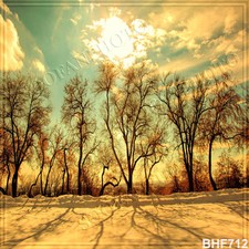 Winter 10'x10' Computer-painted Scenic Photo Background Vinyl Backdrop BHF712