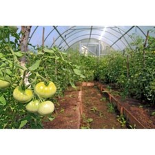 Vapor Barrier Supply - 1 Year UV Resistant 6 mil Clear Greenhouse Plastic