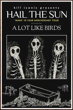 HAIL THE SUN | A LOT LIKE BIRDS Tour 2024 Ltd Ed RARE Poster! Post Hardcore Prog