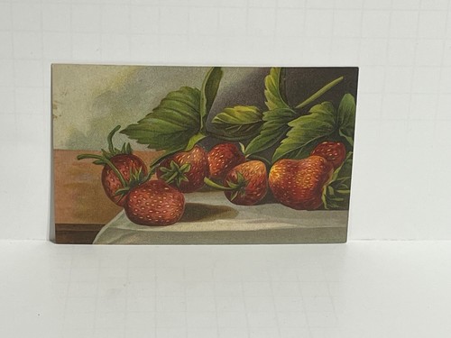 Still Life of Strawberries Fruit Art Postcard Embossed B8