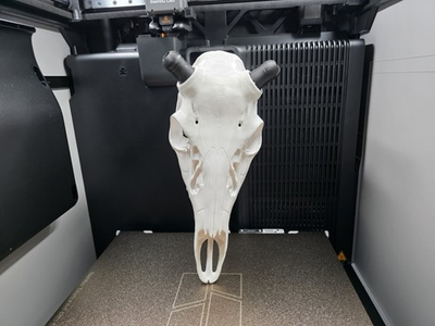 #ad #ad European Mount Bullet Style Deer Head 3d Printed $25.00