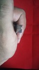 Bild 3 von 4