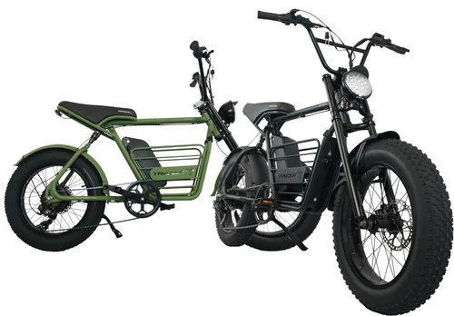 20"x4.0 Fat Tires Off-Road & City Commute 48V eBike 7 Speed 800W Electric Bike