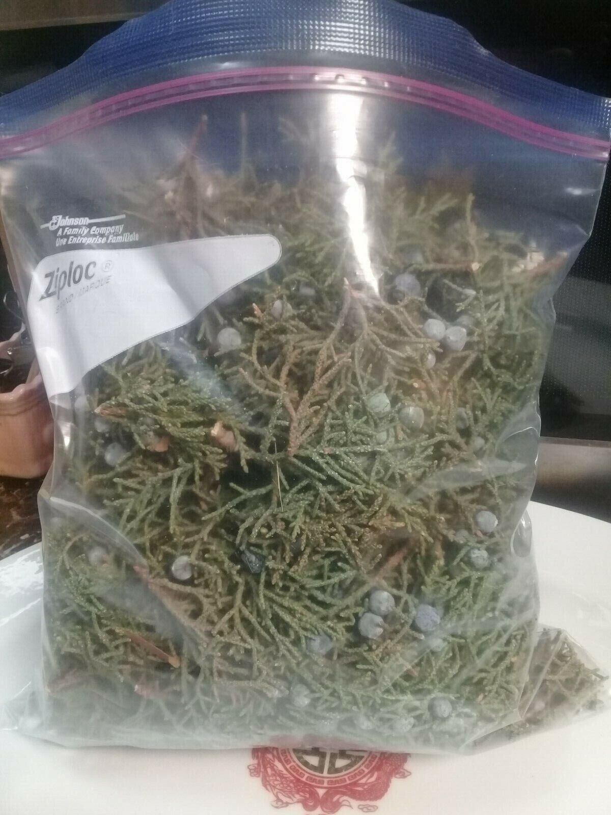 1 POUND ORGANIC&nbsp; FRESH JUNIPER&nbsp; LEAVES&nbsp; WITH BERRIES&nbsp;