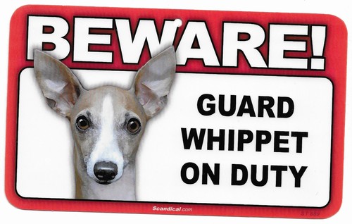Scandical Plastic Beware! Guard Dog On Duty Mulitple Breeds - Picture 27 of 30