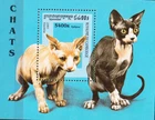 W CAMBODIA 1630 CATS