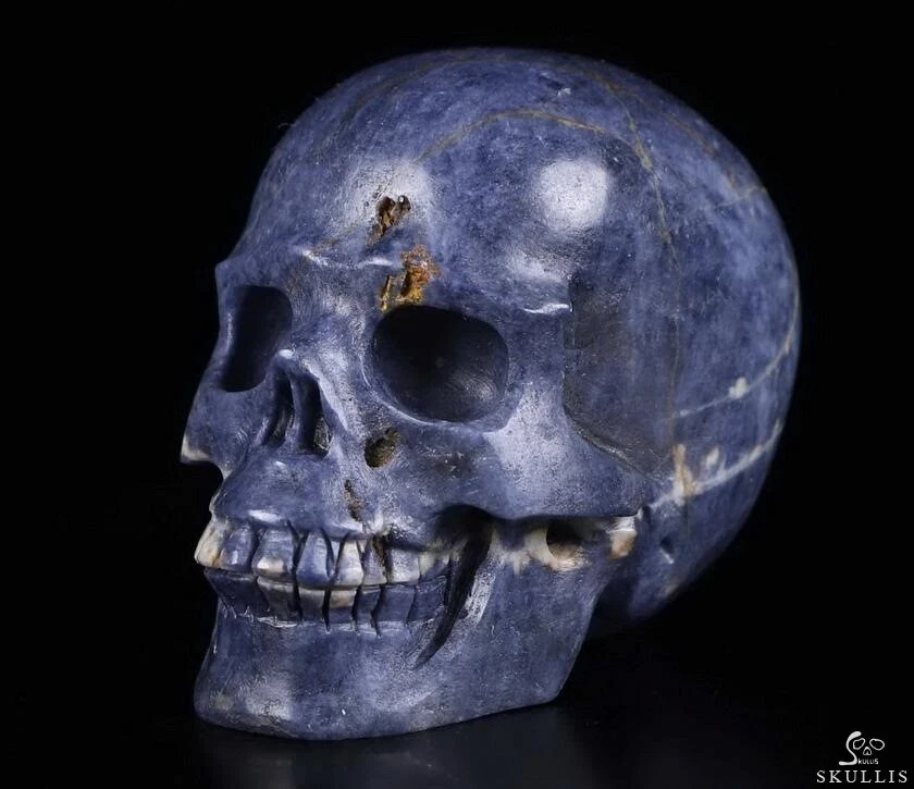 Sapphire skull shop