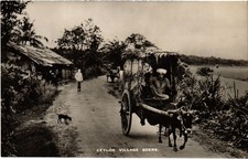 PC CEYLON SRI LANKA VILLAGE SCENE. REAL PHOTO...