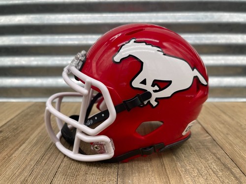 Custom Calgary Stampeders (CFL 2023) Speed Mini Helmet - 第 3/4 張圖片