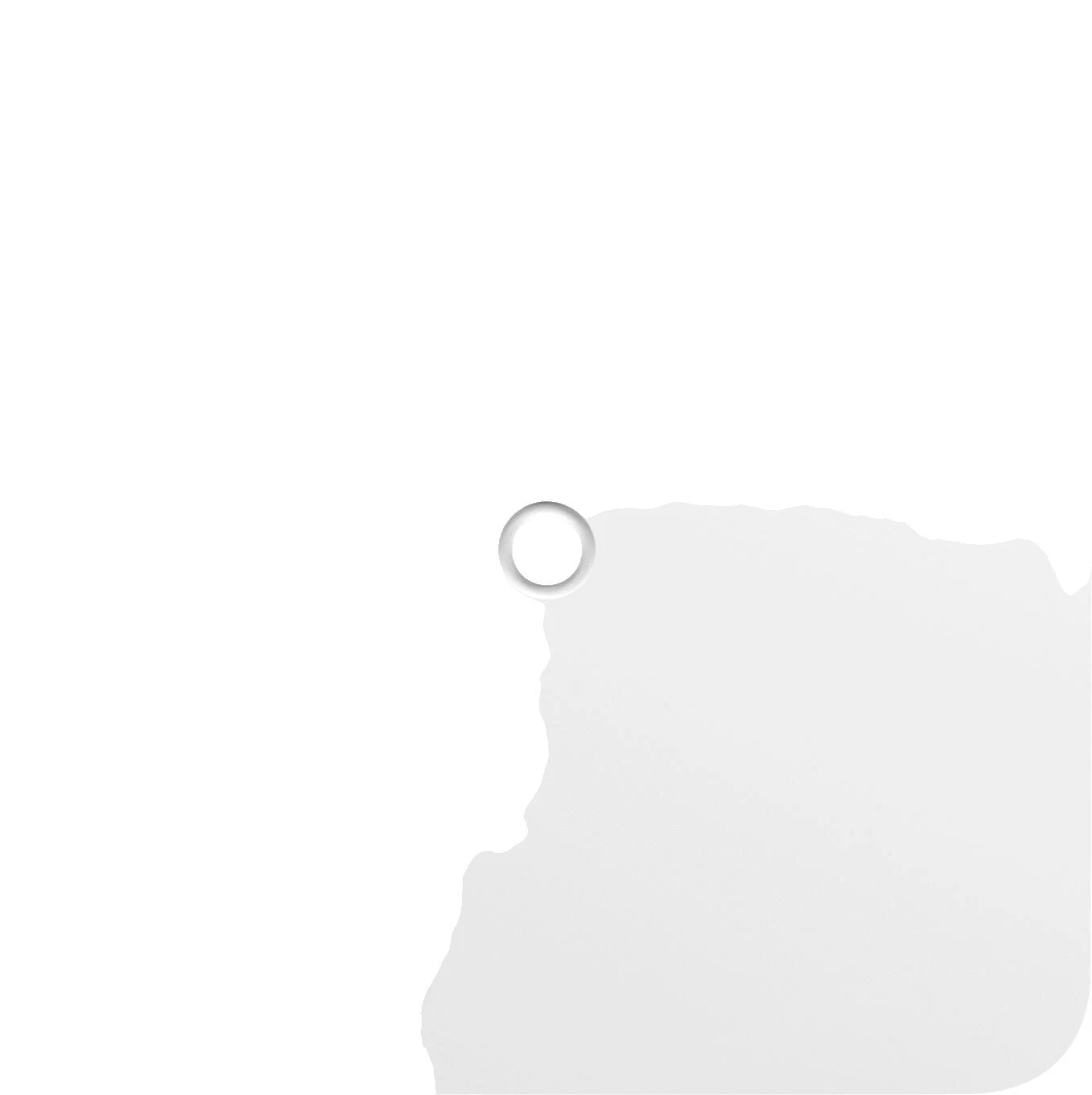 Ring Consumer Electronics