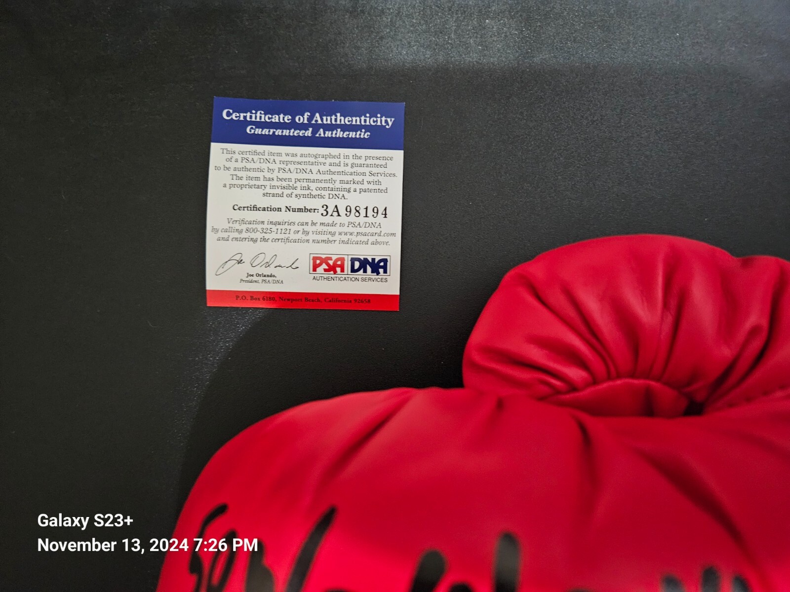 Mike Tyson Autographed Glove PSA DNA "50W-6L-44KO" view 4