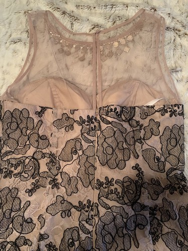 Ignite Evenings Lace Gown Dress Size 6 Elegant Evening Cruise Party Wedding - Picture 7 of 11