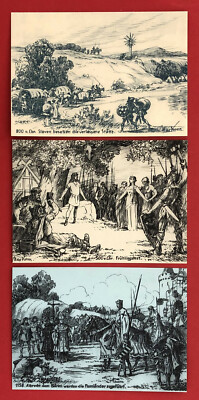 3 x occasion postcard Coswig Elbe around 1935 historic pageant for the 225th anniversary ( 67393