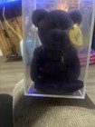 Picture 5 of 5