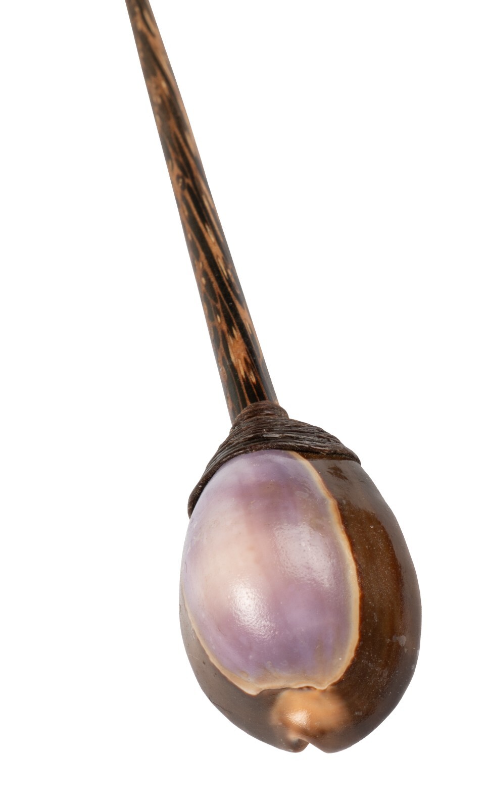 Foto 69 di 73
