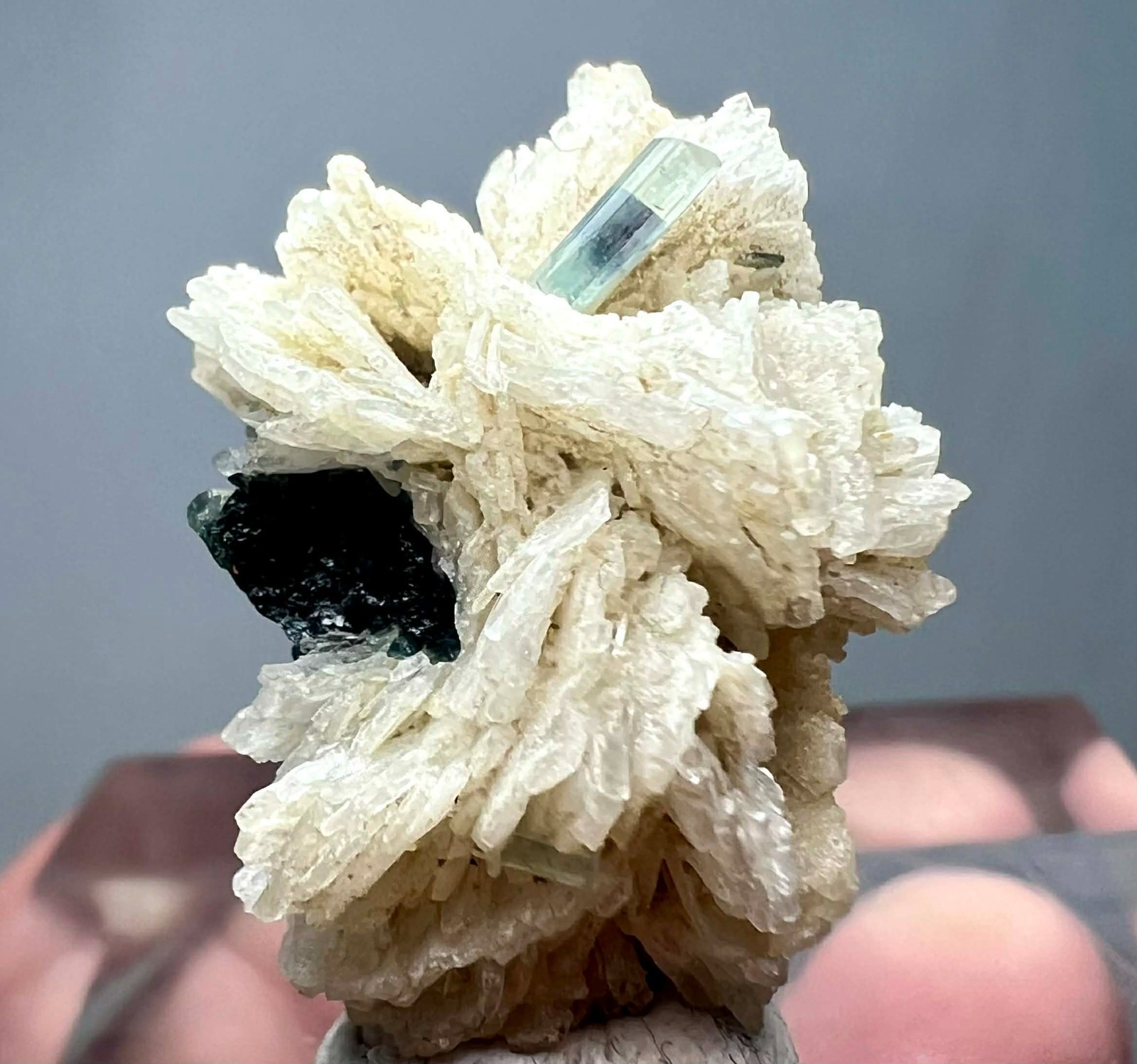 42 Carat Amazing Blue Tourmaline Crystals On Albite Matrix @AFG
