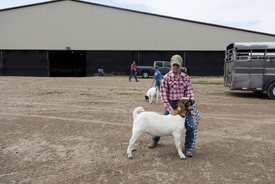 Kim Colorado 2016 Peyton Cranson Kolter Cranson 4-H goat show Mustang Pavilion