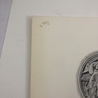 Picture 12 of 15