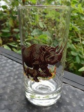 Beer Cocktail Tumbler Liquor Glass ~ RHINOCEROS ~ Mother and Calf in Africa