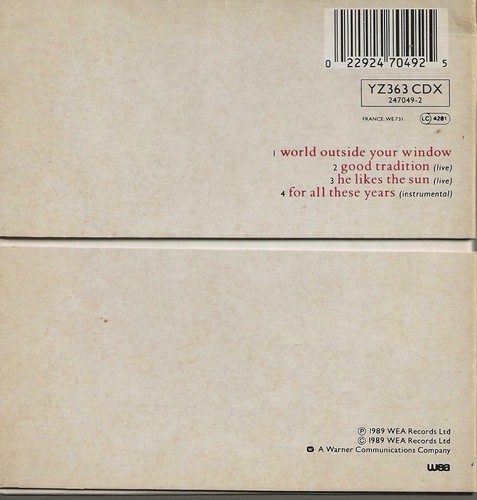 MINI CD WORLD OUTSIDE YOUR WINDOW BY TANITA TIKARAM (1989) WEA – YZ363 CDX PHOTO - Picture 2 of 6