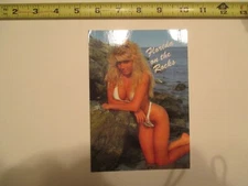 Florida Hot Attractive Woman Lady Girl Bikini #1 Postcard Oversized