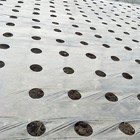 New 2020 Perforated Film 5 Holes Membrane Fruit Tree Keep Wet Vegetable