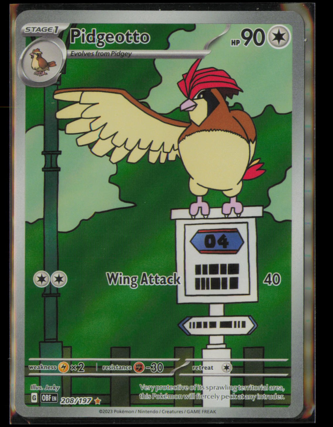 Pidgeotto 208/197 Illustration Rare Obsidian Flames Pokemon Holo Near Mint