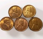 5 Lincoln Wheat 1C Red D Coins 1944 D 1945 D 1947 D to 1949 D-Gem Unc Very Clean