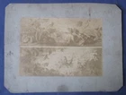 ANTIQUE 19TH CENTURY BIRDS ARTISTIC ALBUMIN PHOTO