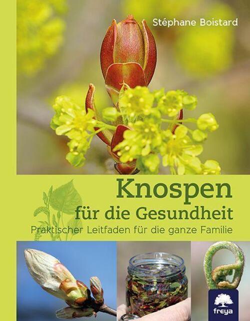 Thumbnail - Knospen Für Die Gesundheit | Praktischer Leitfaden Für Die Ganze
