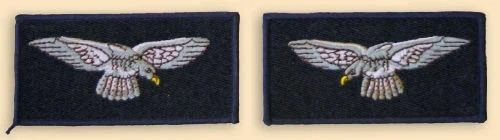 Issued Air Force Militaria Badges