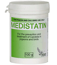 Medistatin 100g - Candida - von Medpet - Bild 2 von 2