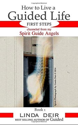 How to Live a Guided Life FIRST STEPS, Book 1: Channeled from my Spirit Guide An