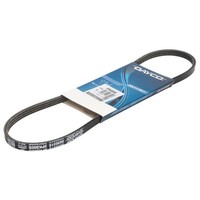 Keilrippenriemen Dayco 3PK800S