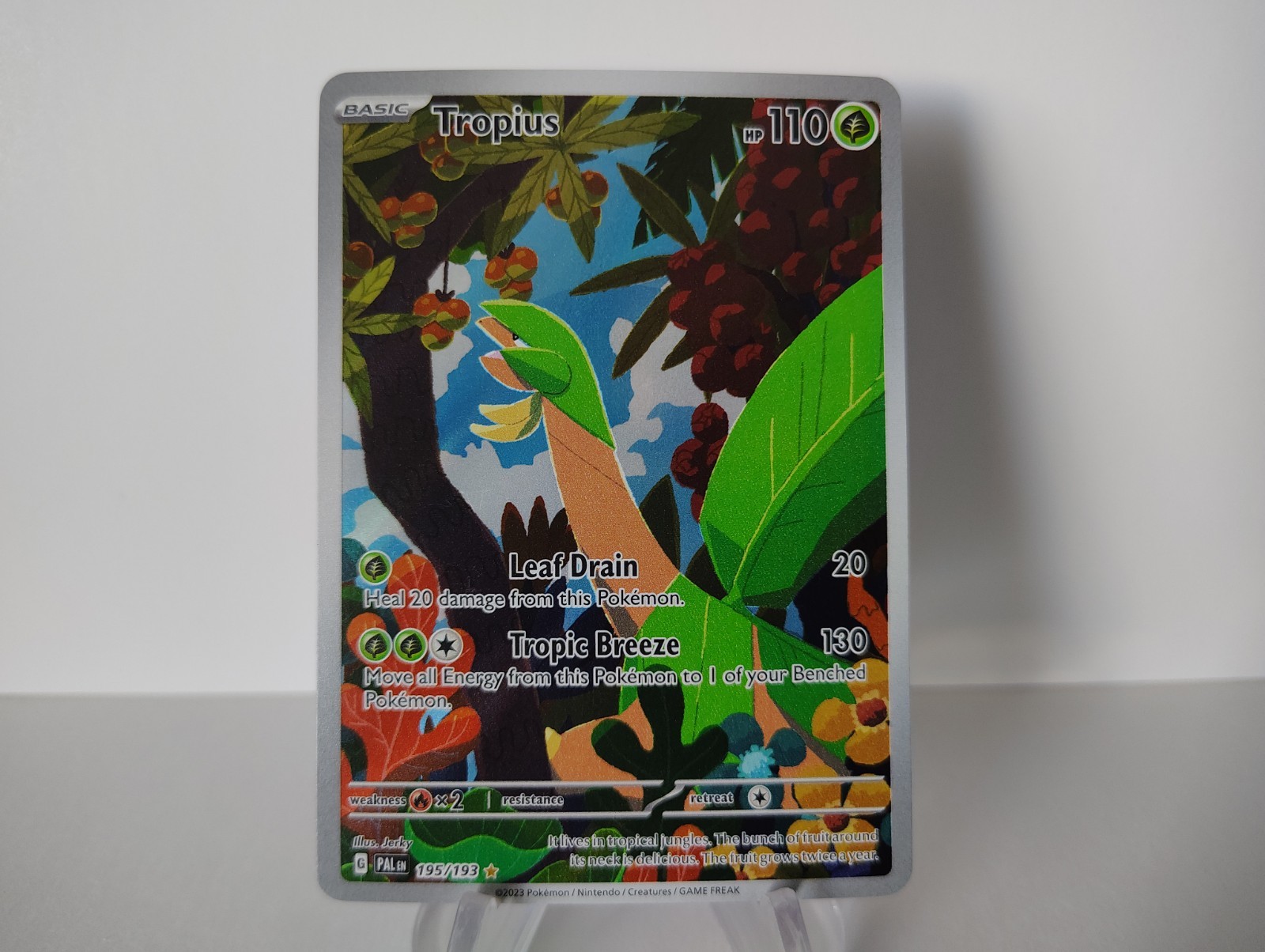 Tropius - Holo Illustration Rare SV02: Paldea Evolved 195/193 NM