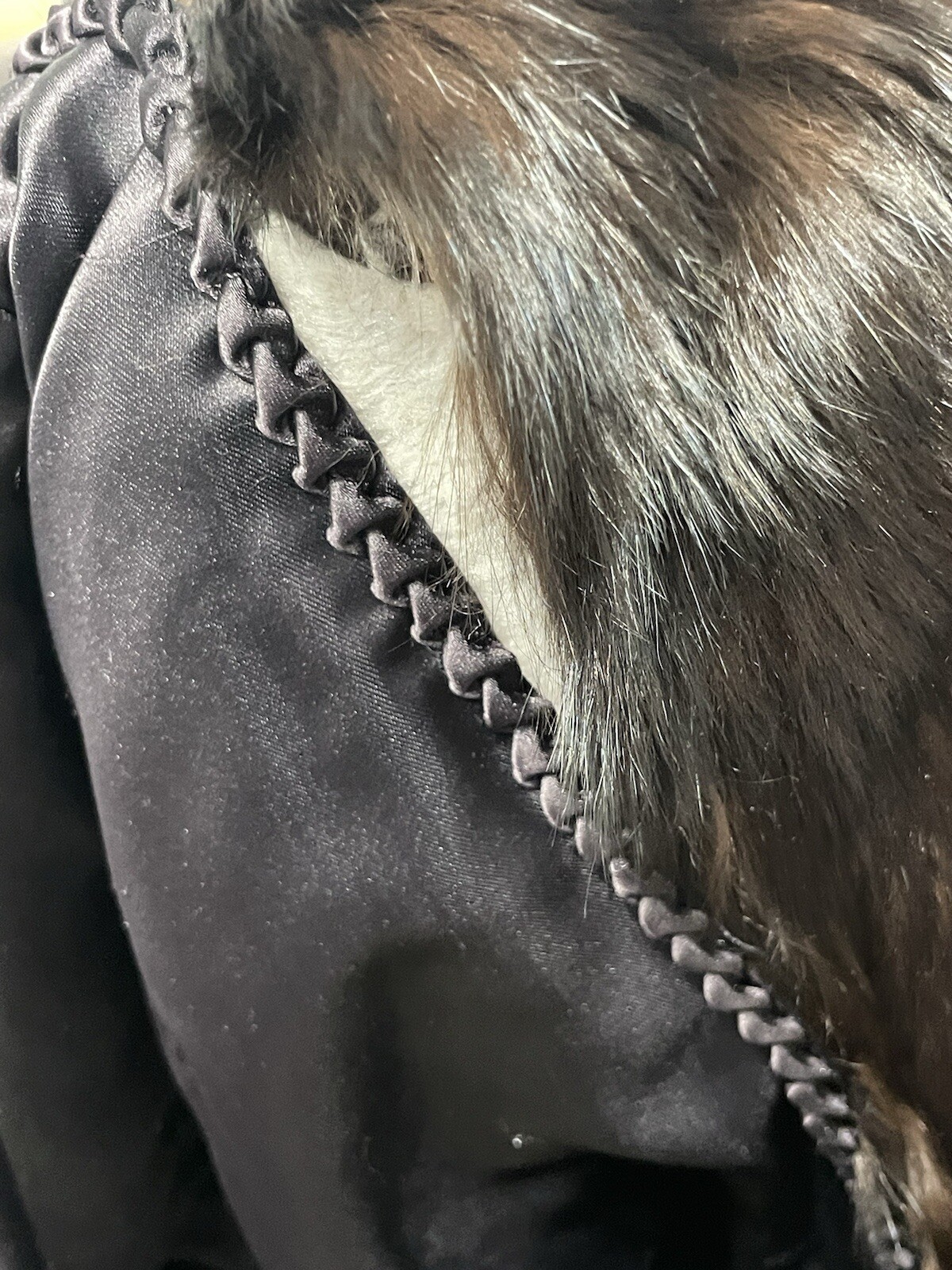 Picture 6 of 15