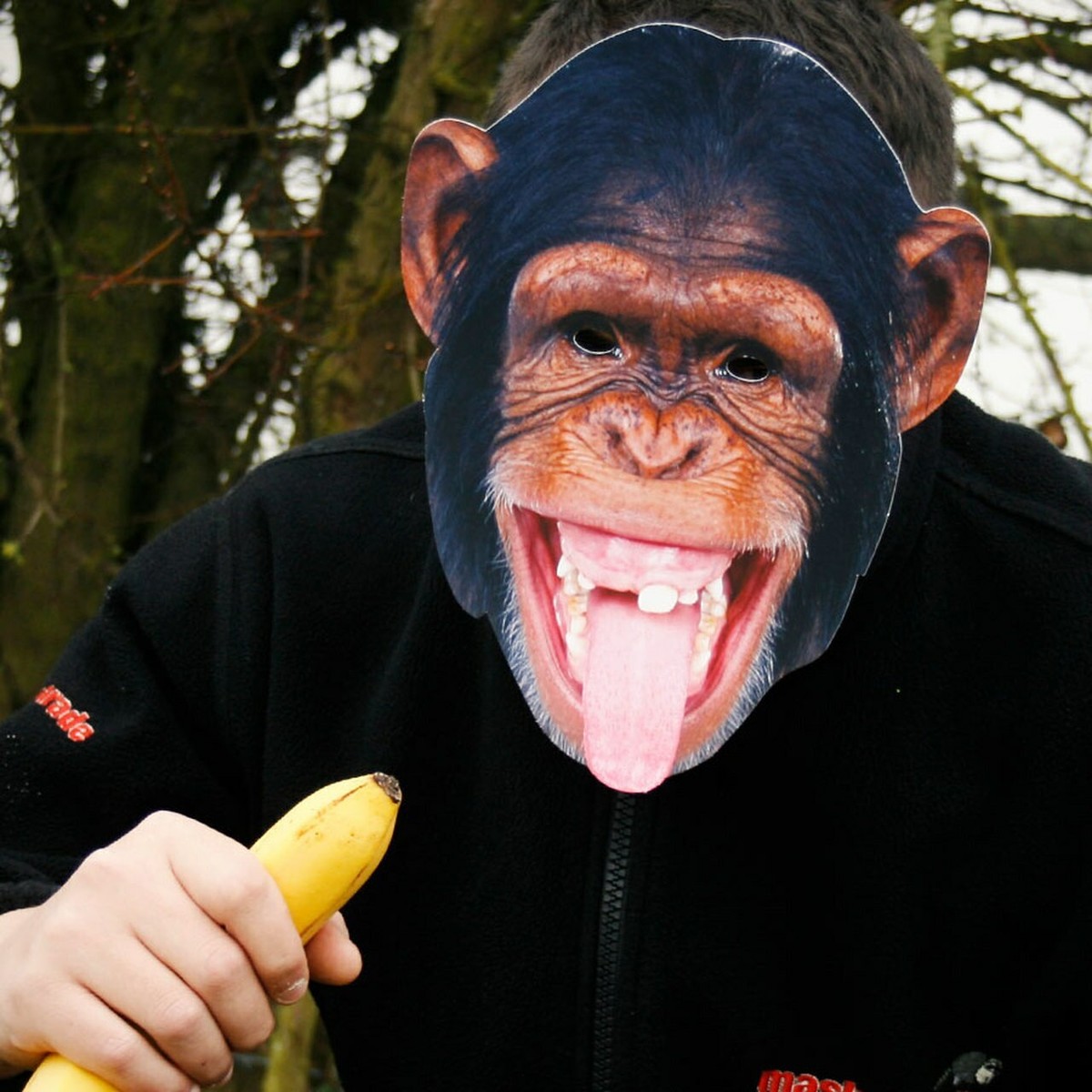 Kit 16 Maschere Animali Foresta E Fattoria - Per Feste A Tema, Giochi E Costumi Bambini