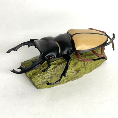 SANDS Cigar Beetle スタジャン　XL Bandai Namco Dangomushi 9 Lacordaire's Stag Beetle Figure | eBay