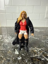 Trish Stratus Wrestling Cards, Autograph and Memorabilia Guide 64