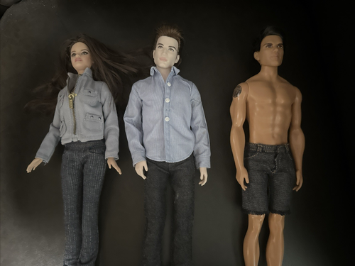 Twilight Barbie Pink Label Eclipse New Moon Lot Bella Edward Cullen Jacob Loose