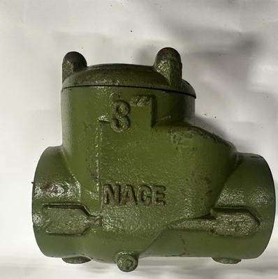 Chem oil 3'' check valve CWP 300 3DITVCV-300
