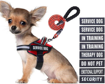Service Dog Vest Harness and Leash Set,  in Training Dog Harness with 10 Dog Pat