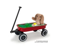 Red Vintage Style Steel Tot Doll Wagon Personalized with Your Custom Name